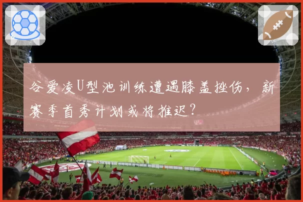 谷爱凌U型池训练遭遇膝盖挫伤,新赛季首秀计划或将推迟?