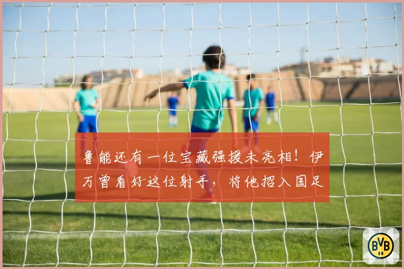 鲁能还有一位宝藏强援未亮相！伊万曾看好这位射手，将他招入国足