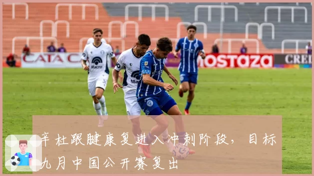 辛杜跟腱康复进入冲刺阶段，目标九月中国公开赛复出